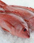 Ikan Kakap Merah 500gr