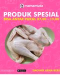 Daging Ayam Potong Bersih 500 gram